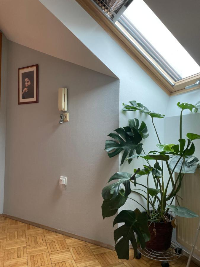 Grazer Schwalbe Lägenhet Exteriör bild